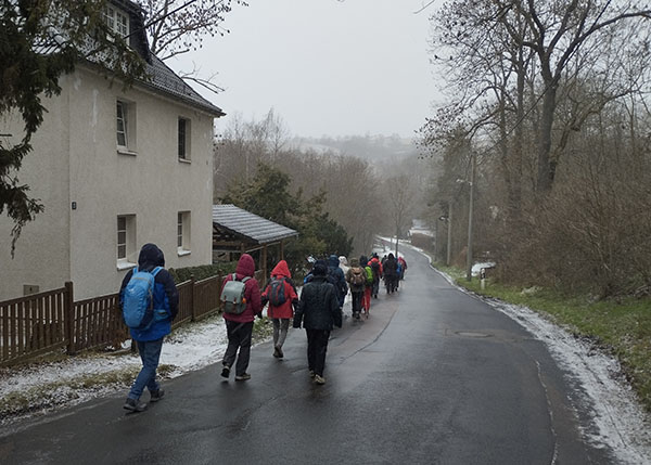 pappel_25 (Fehler bild konnte nicht geladen werden!)