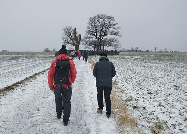 pappel_ges (Fehler bild konnte nicht geladen werden!)